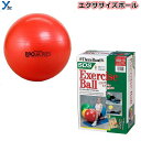野球 ディーエム D&M エクササイズボール 55cm ボディーケア トレーニング リハビリ パワーUP フィットネス SDS55 プレゼント