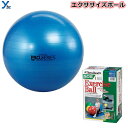 野球 ディーエム D&M エクササイズボール 75cm ボディーケア トレーニング リハビリ パワーUP フィットネス SDS75 プレゼント