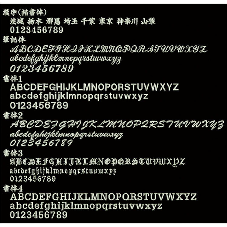【ネコポス配送可】 ミズノ Mizuno フェイス タオル ギフト 記念品 32JY9120 34cm×84cm 刺繍代込み (32jy9120) 2