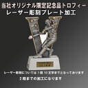 野球記念品 オリジナル 限定 記念品 トロフィー 野球バージョン レーザー彫刻 プレート加工込み