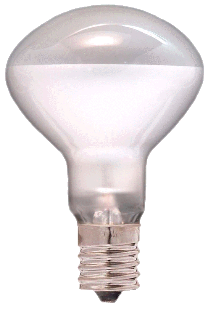 Rakuten - クリプトンランプ R50KR R50 E17 100/110V-45W(F) 50W形 サック