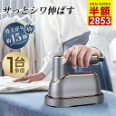 eue eueスチームアイロン