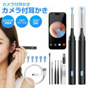 耳かき カメラ付き【2025年新モデル 2000万画素】 カメラ付き耳かき 6LEDライト 3.6mm極細レンズ 録画 写真 左右反転機能 IP67防水 WIF...