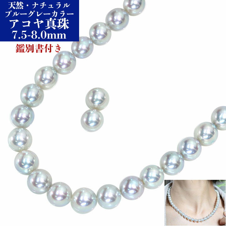 �ڿ��ս����ե��å���󥶥�������ݥ����10�ܡۡڥ��եȱ���ץ饤����ŷ����̵Ĵ�����졼���顼 �����俿����¼�� 7.5��8.0�ߥ�� Ϣ�ͥå��쥹���ԥ���...