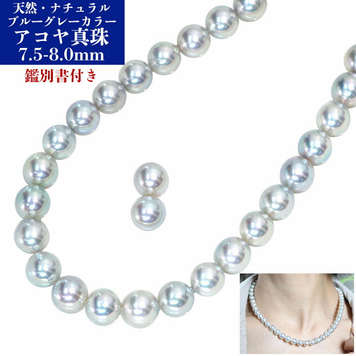 �ڿ��ս����ե��å���󥶥�������ݥ����10�ܡۡڥ��եȱ���ץ饤����ŷ����̵Ĵ�����졼���顼 �����俿����¼�� 7.5��8.0�ߥ�� Ϣ�ͥå��쥹���ԥ���...