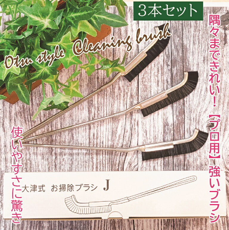 大津式 お掃除 ブラシ 大津式ブラシ 3本 ドリーム ブラシJ 大津式ブラシJ大津式ブラシ大津たまみ 大津 おそうじ ブラシ お掃除ブラシ お掃除グッズ おそうじブラシ プロ プロ仕様 風呂 トイレ プロの道具 母の日 プレゼント GW J