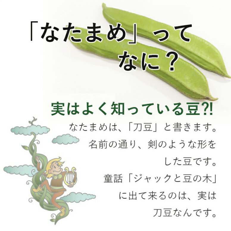 刀豆茶 5袋セット 3g×30包 なたまめ茶 ナタマメ 刀豆 なたまめ 血圧 血糖 夜中のトイレ 頻尿 夜間頻尿 膀胱炎 ナタマメ茶 送料無料 健康茶 敬老の日 プレゼント