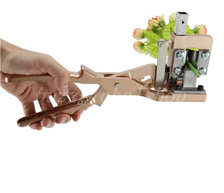 �ܤ�������Ф��� ���ڥϥ��� ��������� ����Ф��� �̼� ���� ���ܤ� �ܤ��� �ϥ��� ����߹�� �����ǥ�ե롼�� ����ե��ں﹩�� �ե롼��/���ڥ���ե��� ���ߤ� �ϥ��