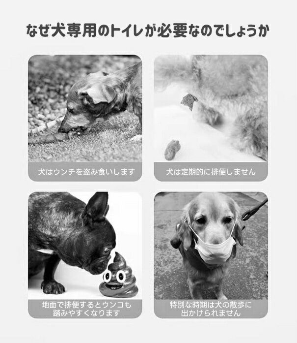 �� �ȥ��� �ȥ졼 ���ƥå� �Ϥ� ���դ� �ȥ���ȥ졼�˥� �ȥ���ȥ졼�ʡ� ���� �ڥå��� ������ ������ ���������� ����ץ� �ڥåȥ��� ���Ĥ� �鿴�� ���ݽ���ñ