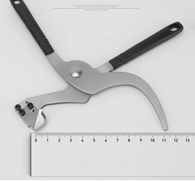 ���� ����ѥʥ��� �ľ����� ������ ������ �ľ�����ʥ��� �ץ饤�䡼�� �ؿ��դ� ���μ��� ������� �̼��� ��� ����������