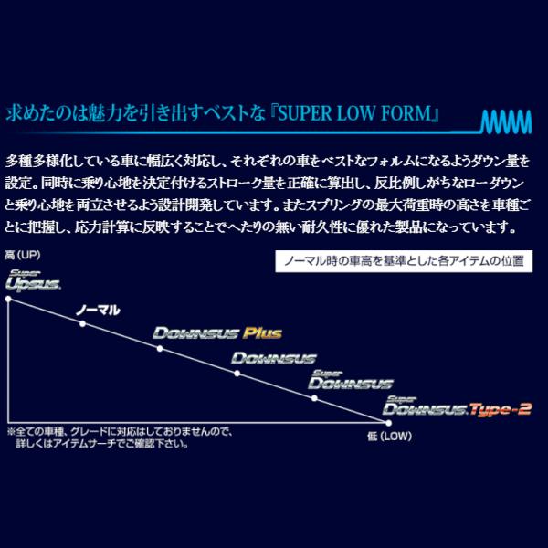 ESPELIR スーパーダウンサス RVR N74WG 4G64 H9/11〜15/1 ESB-3884 エスペリア 1台分セット