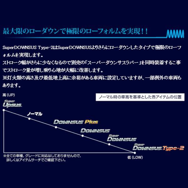 ESPELIR スーパーダウンサスType2 エブリィバン DA17V R06A H27/2〜R1/5 ESS-2184 エスペリア 1台分セット