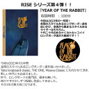 ライズシリーズ (RISE YEAR OF THE RABBIT) ライズイヤーオブザラビット サーフィン DVD サーフィン 初心者 波情報 タイムセール 人...