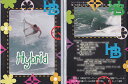 (タイムセール)ハイブリッド (Hybrid) fish 坂口憲二 スプラウト shelteサーフィン DVDDVD サーフィン 初心者 波情報 タイムセール ...