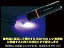 ワフー (WAHOO) 紫外線硬化型サーフボード修理剤用 UVハンディライト LIGHT"【夜や曇りの日でもリペアー可能!!】/サーフ サーフィン サーファー SURFIN SURF SURFER 便利/補修 SURFBOARD サーフボード