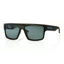 カーブ (CARVE) ウェービー マットストレークグレー/グレー偏光 CARVE 2262-WAVEY MATT STREAK GREYGREY POLARI...