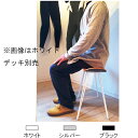キャップ (CAP) スケボー チェア レッグ (ロッドタイプのパイプのみ) SKATEBOARD CHAIR LEG ウェットスーツ グローブ ハンガー 干し...