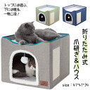 新品登場!猫ハウス おもちゃ付き 猫の遊び場 ネコの遊園地 ペットベッド 爪研ぎ 滑り止め かわいい 快適 子猫 中型猫 通年 ペット用品 折り畳み可 洗える ...