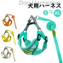 【楽天スーパーSALE】犬用ハーネス ネーム 恐竜 胴輪 小型犬 抜けない 簡単装着 イニシャル 引っ張り防止 小中型犬 散歩 お出かけ アウトドア 迷子防止 ...
