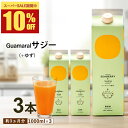 株式会社宝島ジャパン サジー ジュース +ゆず 1000ml 【まとめ買3本セット】