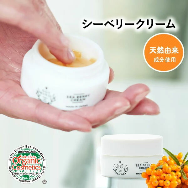 【7,480円→3,740円】保湿クリーム 30g シーベリークリーム スキンケア 保湿クリーム 顔 保湿 ベビー フェイスクリーム エイジング 顔 美容クリーム サジー アミノ酸 海洋プラセンタ 高保湿 全身 敏感肌 乾燥肌 子供 赤ちゃん ギフト 母の日 プレゼント パラベンフリ 顔