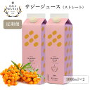 【 定期購入ポイント2倍 】サジージュース 100% 1000ml 2本セット サジー 鉄分 鉄分ドリンク 健康ドリンク 栄養ドリンク 美容ドリンク 無添加 健康飲料 鉄分不足 元気 健康 美容 鉄分補給 栄養補給 健康食品 沙棘 スーパーフード ビタミン