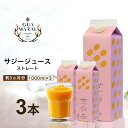 サジージュース 1000ml 【まとめ買3本セット】シーベリー サジー 紙パック 鉄分 鉄分ドリンク 健康ドリンク 栄養ドリンク 美容ドリンク 無添加 グアマラル 健康飲料 鉄分不足 健康 美容 鉄分補給 栄養補給 健康食品 沙棘 健康飲料 スーパーフード ビタミンc お中元 贈り物