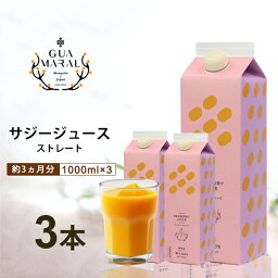 サジージュース 1000ml 【まとめ買3本セット】シーベリー サジー 紙パック 鉄分 鉄分ドリンク 健康ドリンク 栄養ドリンク 美容ドリンク 無添加 グアマラル 健康飲料 鉄分不足 健康 美容 鉄分補給 栄養補給 健康食品 沙棘 健康飲料