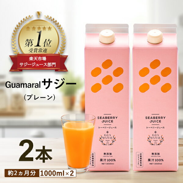 サジージュース 1000ml 【まとめ買2本セット】モンゴル シーベリー サジー 紙パック 鉄分 鉄分ドリンク 健康ドリンク 美容ドリンク 無添加 健康飲料 鉄分不足 元気 健康 美容 鉄分補給 栄養補給 健康食品 沙棘 健康飲料 さじー saji ビタミンC 美容 母の日 プレゼント ギフト