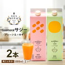 サジージュース 1000ml ストレートと＋ゆず 各1本【まとめ買2本セット】シーベリー サジー 紙パック 鉄分 鉄分ドリンク 健康ドリンク 美容ドリンク 無添加 健康飲料 鉄分不足 元気 健康 美容 鉄分補給 栄養補給 その1