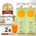 サジー ジュース ＋ゆず 1000ml 【まとめ買2本セット】 ゆず味 柚子 シーベリー saji 紙パック サジージュース 鉄分 鉄分ドリンク 健康ドリンク 栄養ドリンク 無添加 健康飲料 鉄分不足 健康 美容 健康食品 沙棘 さじー saji ビタミンC 美容