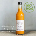 サジージュース お試し サジー 鉄分 シーベリー 100% ストレート 360ml 鉄分ドリンク 健康ドリンク 栄養ドリンク 美容ドリンク 無添加 健康飲料 鉄分不足 元気 健康 美容 鉄分補給 栄養補給 健康食品 沙棘 健康飲料ビタミンc 母の日 プレゼント ギフト