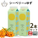 サジージュース ＋ゆず 1000ml 【まとめ買2本セット】 ゆず味 柚子 シーベリー saji 紙パック 鉄分 鉄分ドリンク 健康ドリンク 栄養ドリンク 美容ドリンク 無添加 グアマラル 健康飲料 鉄分不足 元気 健康 美容 鉄分補給 栄養補給 健康食品 沙棘 スーパーフード ビタミンc その1