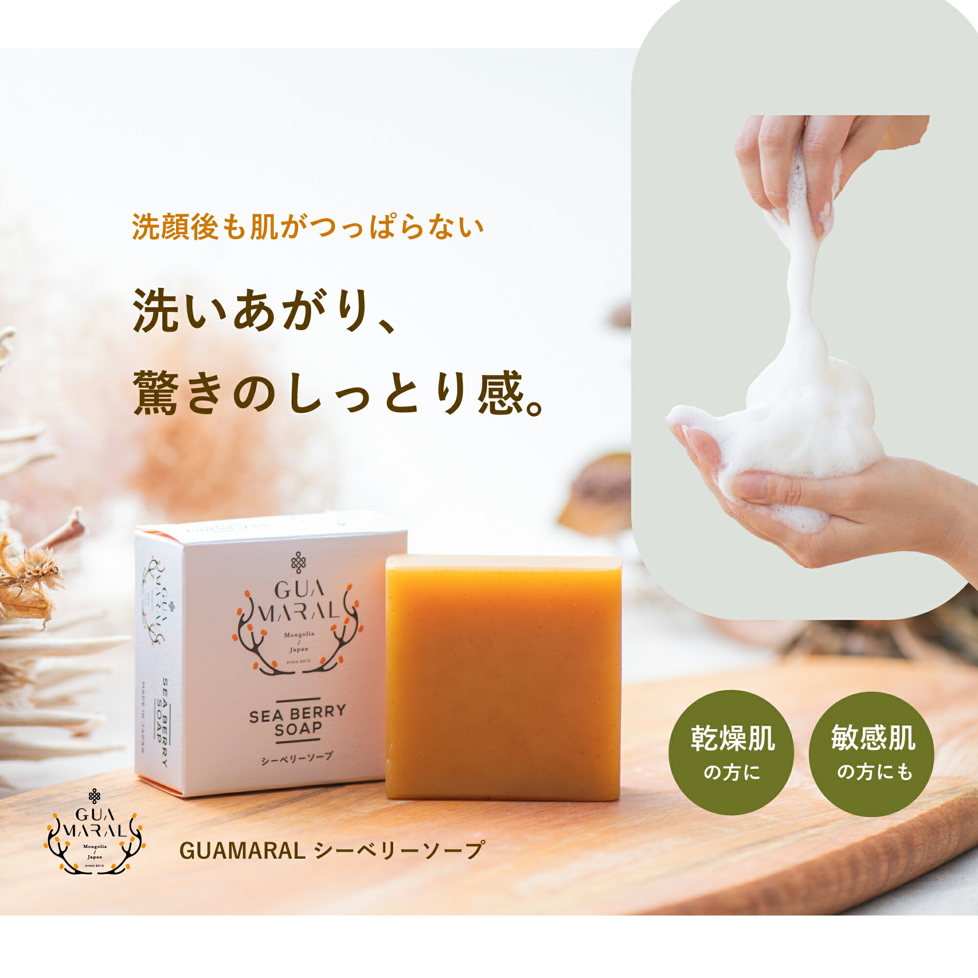 サジー 石鹸 せっけん シーベリーソープ 100g ギー 石けん 全身用 洗顔用 潤い ソープ 無添加 毛穴 透明感 角質 洗顔石鹸 固形石鹸 敏感肌 乾燥肌 低刺激 保湿 顔ダニ 顔用 身体用 全身 女性 …