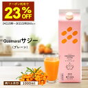 【23％OFFクーポン24日20時スタート】サジージュース 1000ml 1本 シーベリー サジー 紙パック 鉄分 鉄分ドリンク 健康ドリンク 栄養ドリンク 美容ドリンク 無添加 グアマラル 健康飲料 鉄分不足 元気 健康 鉄分補給 栄養補給 健康食品 沙棘 ビタミンc saji さじー