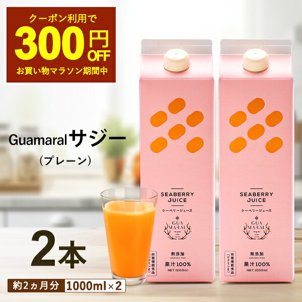 【5/23 20時～クーポン利用で300円OFF】サジージュース 1000ml 【まとめ買2本セット】モンゴル シーベリー サジー 紙パック 鉄分 鉄分ドリンク 健康ドリンク 美容ドリンク 無添加 健康飲料 鉄…