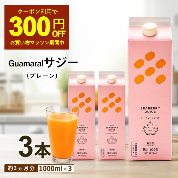 【5/23 20時～クーポン利用で300円OFF】サジージュース 1000ml 【まとめ買3本セット】シーベリー サジー 紙パック 鉄分 鉄分ドリンク 健康ドリンク 栄養ドリンク 美容ドリンク 無添加 グアマラ…