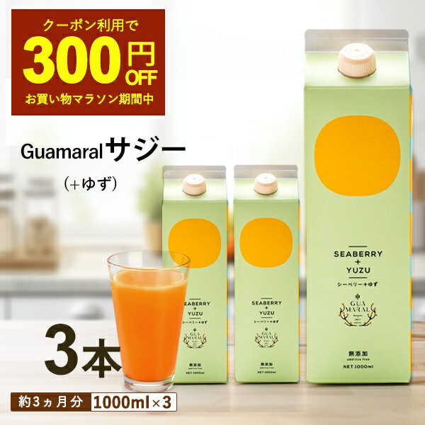 【5/23 20時～クーポン利用で300円OFF】サジー ジュース ＋ゆず 1000ml 【まとめ買3本セット】 ゆず味 柚子 シーベリー saji 紙パック サジージュース 鉄分 鉄分ドリンク 健康ドリンク 栄養ド…