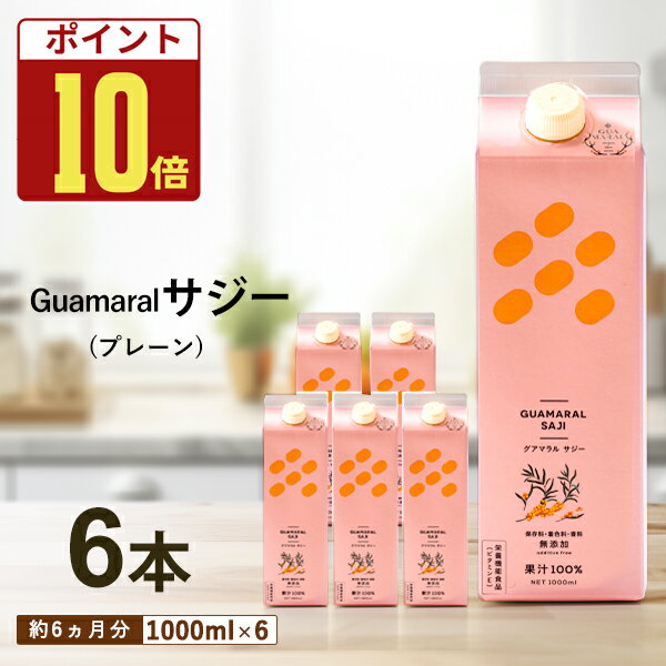 【マラソン期間中ポイント10倍】サジージュース 1000ml 【まとめ買6本セット】シーベリー サジー 紙パック 鉄分 鉄分ドリンク 健康ドリンク 栄養ドリンク 美容ドリンク 無添加 健康飲料 鉄分不足 健康 美容 鉄分補給 栄養補給 さじー saji ビタミンC 美容のサムネイル