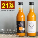 サジー お試し 飲み比べ2本セット 360ml×2本 ストレート サジージュース 鉄分 シーベリー 100% 鉄分ドリンク 健康ドリンク アミノ酸 グアマラル 鉄分不足 健康 美容 鉄分補給 栄養補給 健康食品 沙棘 健康 ビタミンC 無添加 モンゴル