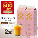 【クーポン利用で500円OFF】サジージュース 1000ml 【まとめ買2本セット】シーベリー サジー 紙パック 鉄分 鉄分ドリンク 健康ドリンク 美容ドリンク 無添加 グアマラル 健康飲料 鉄分不足 元気 健康 美容 鉄分補給 栄養補給 健康食品 沙棘 健康飲料 スーパーフード