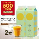 【クーポン利用で500円OFF】サジー ジュース ＋ゆず 1000ml 【まとめ買2本セット】 ゆず味 柚子 シーベリー saji 紙パック サジージュース 鉄分 鉄分ドリンク 健康ドリンク 栄養ドリンク 無添加 グアマラル 健康飲料 鉄分不足 健康 美容 鉄分補給 栄養補給 健康食品 沙棘