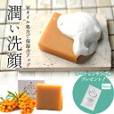 サジー 石鹸 せっけん シーベリーソープ 100g ギー 石けん 全身用 洗顔用 潤い ソープ 無添加 毛穴 透明感 角質 洗顔石鹸 固形石鹸 敏感肌 乾燥肌 ...