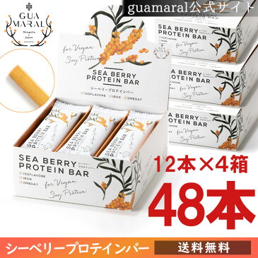 シーベリー+プロテインバー（バータイプ） （12本入×4箱）1本あたり26g グアマラル