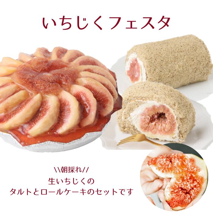 ロールケーキ 【送料無料】いちじくフェスタ【同梱不可】【※朝取りハウス栽培生いちじくのみ同梱可】北海道は送料＋700円冷蔵便でお届け沖縄・離島はお届け不可国産 洋菓子 スイーツ いちじく イチジク 無花果 タルト ロールケーキ