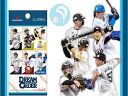 予約：4/20 プロ野球カードゲーム DREAM ORDER パ リーグ ブースターパック 2024 Vol.1 12パック入BOX