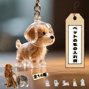 【2個セット】ペット遺毛ケース 犬用メモリアル用品 メモリアルボトル 毛保存ボトル 犬 キーホルダー 透明 遺毛入れ ペット 遺毛グッズ ペットメモリアルグッズ...