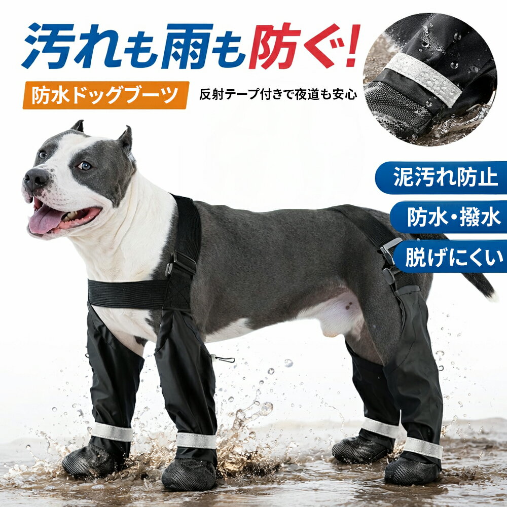 �� �� ���� ���󥰥֡��� æ���ʤ� �����ڥ�����դ� �ɿ� ���� �� �� ť�����ɻ� ���ѥ��塼�� �������䤹�� �ɥå����塼�� ȿ�ͥơ��� ��� ������ ­...