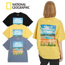 送料無料 NATIONAL GEOGRAPHIC YELLOW STONE ARTWORK T-SHIRTS 韓国正規品 ナショナルジオグラフィック Tシャツ 半袖 夏 メンズ レディース 大人 おしゃれ 可愛い コーデ 旅行