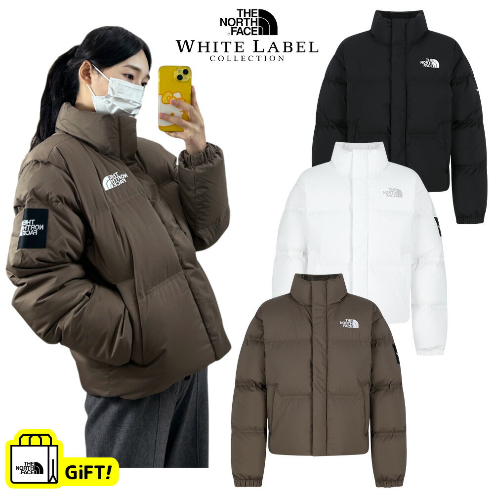 ★送料無料★ ノースフェイス ダウンジャケット THE NORTH FACE DEMI DOWN JACKET (RDS) 韓国限定 中綿 ジャケット ジャケット 冬 温かい 防寒 寒さ対策 メンズ 学生 オシャレ コーデ 大きいサイズ 定番 韓国ノースフェイス NJ1DR62 【韓国正規品/関税込/エコバッグ ギフト】